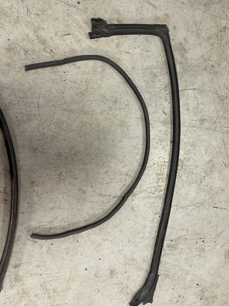 2003-04 Ford Mustang SVT Cobra Coupe Weather Stripping 191