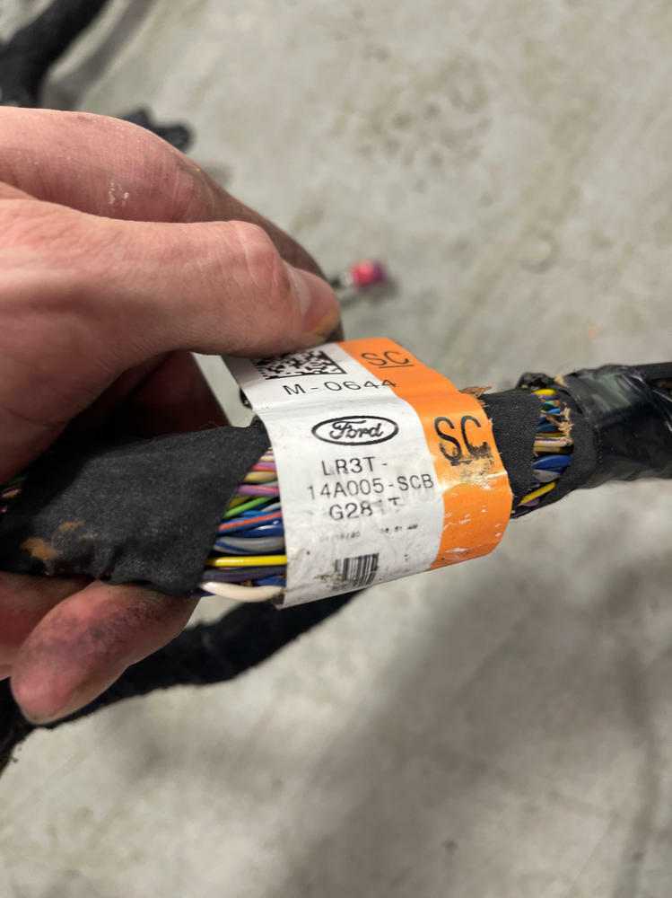 2018-23 Ford Mustang GT Premium Convertible Body Harness 206