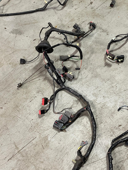 2001-04 Ford Mustang Roush GT Coupe Body Harness- For Manual Trans Cars 293