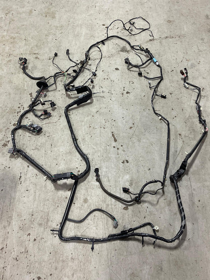 2003-04 Ford Mustang Mach One Body Harness- FOR MANUAL TRANS 19k Miles 296