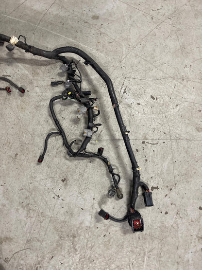 2001-04 Ford Mustang Roush GT EFI Engine Harness  293
