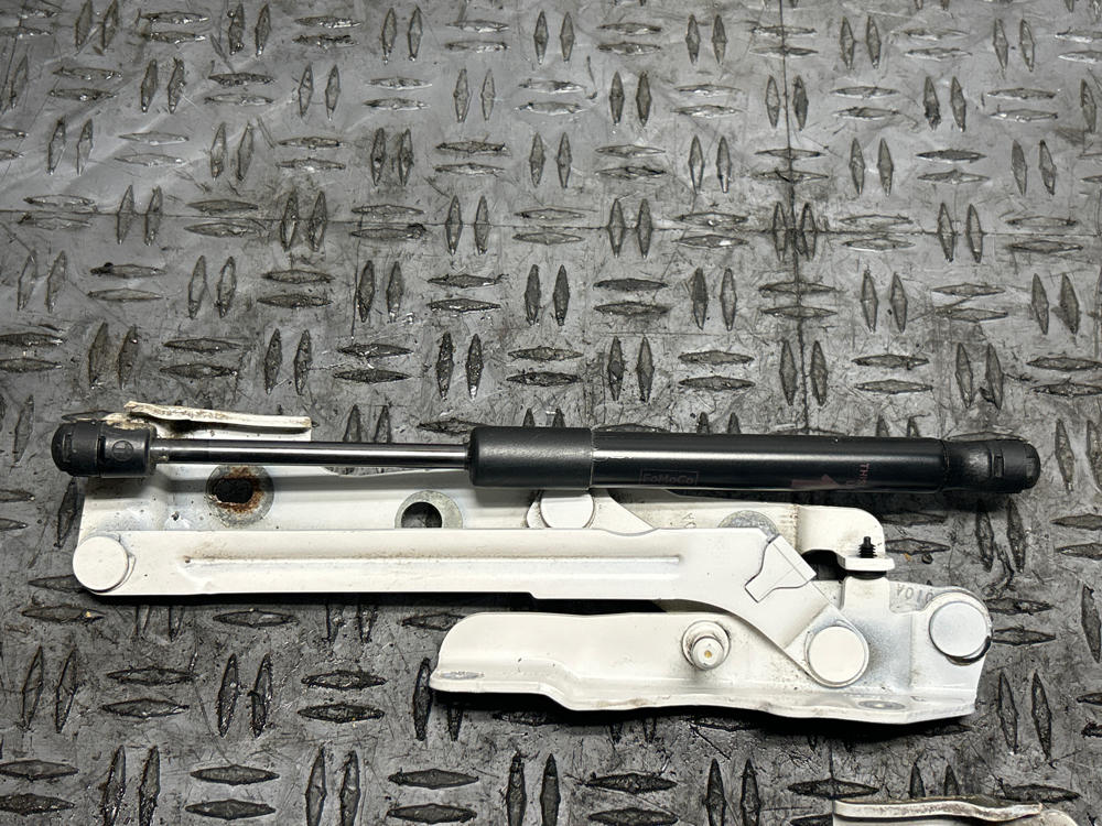 2011-14 Ford Mustang Trunk Hinges & Shocks (Paint Code HP) 294