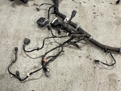 2015-17 Ford Mustang GT Gen 2 Coyote Engine Bay Distribution Harness 312