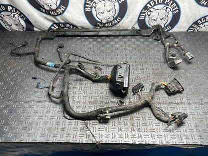 2003-04 Ford Mustang Mach One Engine Bay Distribution Harness- PARTS ONLY 296