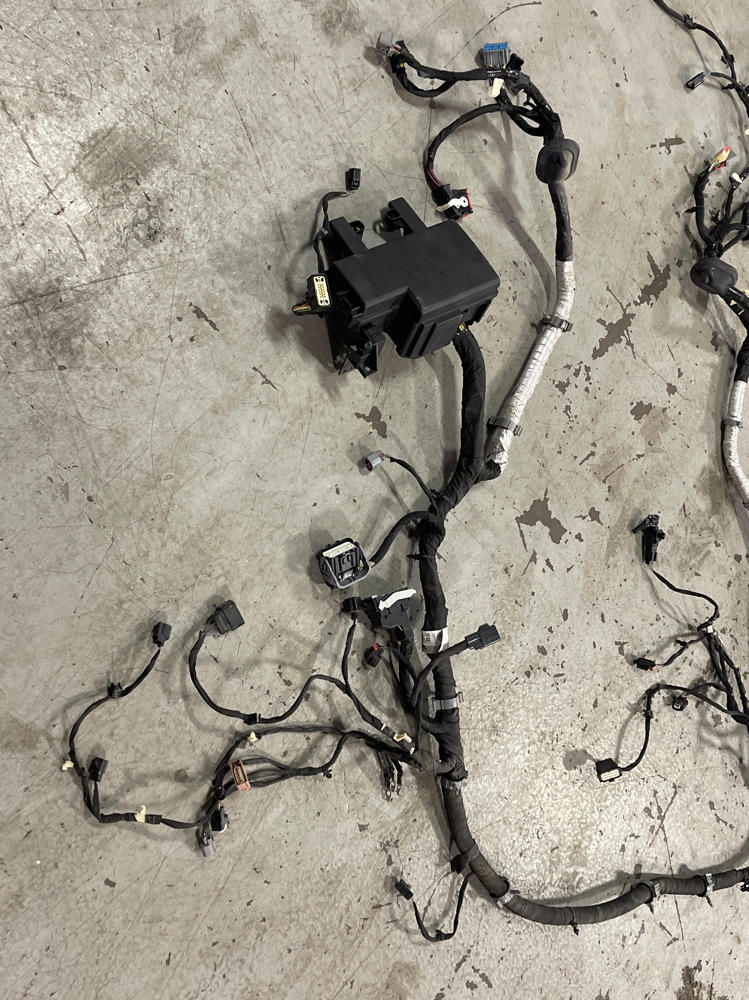 2015-17 Ford Mustang GT Gen 2 Coyote Engine Bay Distribution Harness 312