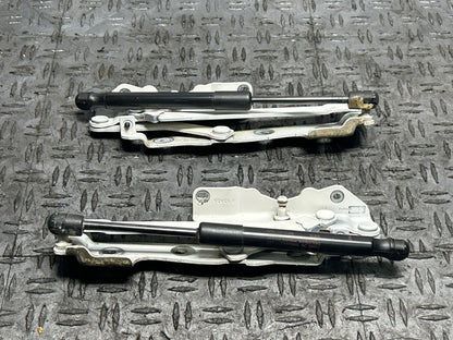 2011-14 Ford Mustang Trunk Hinges & Shocks (Paint Code HP) 294