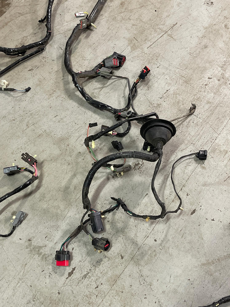 2001-04 Ford Mustang Roush GT Coupe Body Harness- For Manual Trans Cars 293
