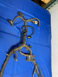 1999-00 Ford Mustang GT 4.6 V8 Saleen S281 ECU Harness 178