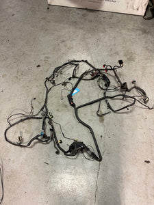 2003-04 Ford Mustang SVT Cobra Coupe Body Harness 179