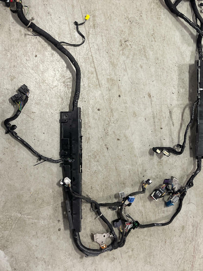 2018-23 Ford Mustang GT Premium Convertible Body Harness 206