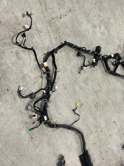 2018-23 Ford Mustang GT Premium Convertible Body Harness 206