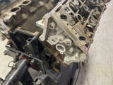 2003-04 Ford Mustang SVT Cobra Long Block Low Compression 218