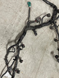2003-04 Ford Mustang SVT Cobra 4.6 4V EFI Harness- Cut 225