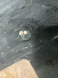2018-23 Ford Mustang GT 5.0 RH Wheel Well Splash Sheild 223