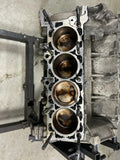 1999-04 Ford Mustang 4.6 Short Block 234