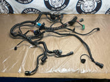 2001-04 Ford Mustang GT/ Bullitt ECU/PCM Harness- 51k Miles, for 2V 257