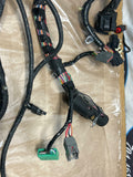 2001-04 Ford Mustang GT/ Bullitt ECU/PCM Harness- 51k Miles, for 2V 257