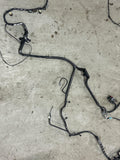 2001 Ford Mustang Bullitt Body Harness- 51k Miles, for Manual Trans/2V 257