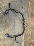 2001-04 Ford Mustang GT Bullitt Tremec 3650 Wire Harness 257