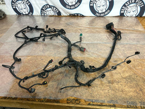 2003-04 Ford Mustang SVT Cobra EFI Harness- Low Miles 270