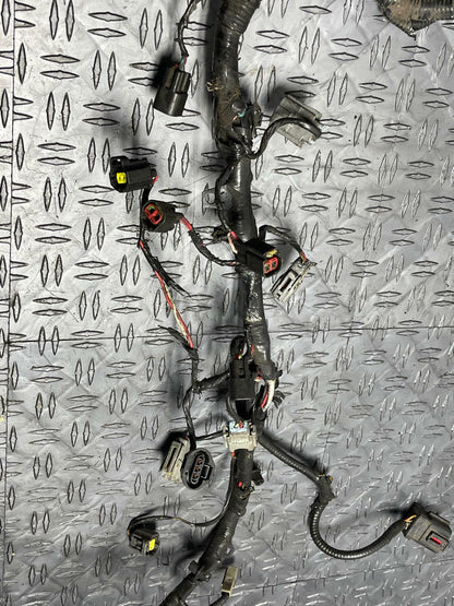 1999-04 Ford Mustang GT/Saleen 4.6 2V EFI Harness- Damaged 243