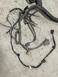 2015-17 Ford Mustang GT Engine Bay Distribution Harness 267