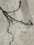2013-14 Ford Mustang GT Premium Body Harness- for Automatic Trans Coupes 259