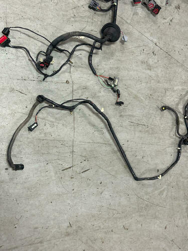 2003 Ford Mustang SVT Cobra Convertible Body Harness 273