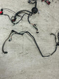 2003 Ford Mustang SVT Cobra Convertible Body Harness 273