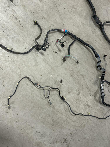 2003 Ford Mustang SVT Cobra Convertible Body Harness 273