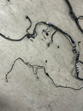 2003 Ford Mustang SVT Cobra Convertible Body Harness 273