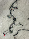 2003 Ford Mustang SVT Cobra Convertible Body Harness 273