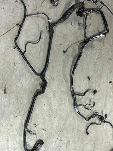 2003 Ford Mustang SVT Cobra Convertible Body Harness 273