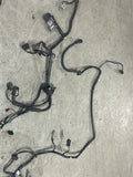 2003-04 Ford Mustang SVT Cobra OEM Coupe Body Harness (SEE DESC) 276