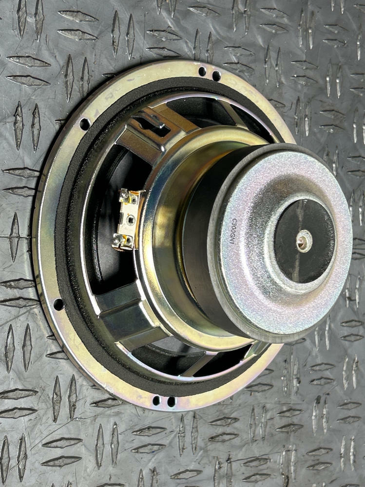 2015-23 Ford Mustang GT OEM Subwoofer Speaker Assembly- NO BOX 258