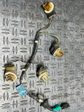 1999-04 Ford Mustang Rear Tail Light Harness Pair (NON AMBER) 282