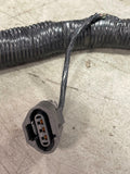 1999-01 Ford Mustang GT 2V EFI Harness Re-Wired for 4V Swap 282