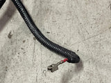 1999-01 Ford Mustang GT 2V EFI Harness Re-Wired for 4V Swap 282