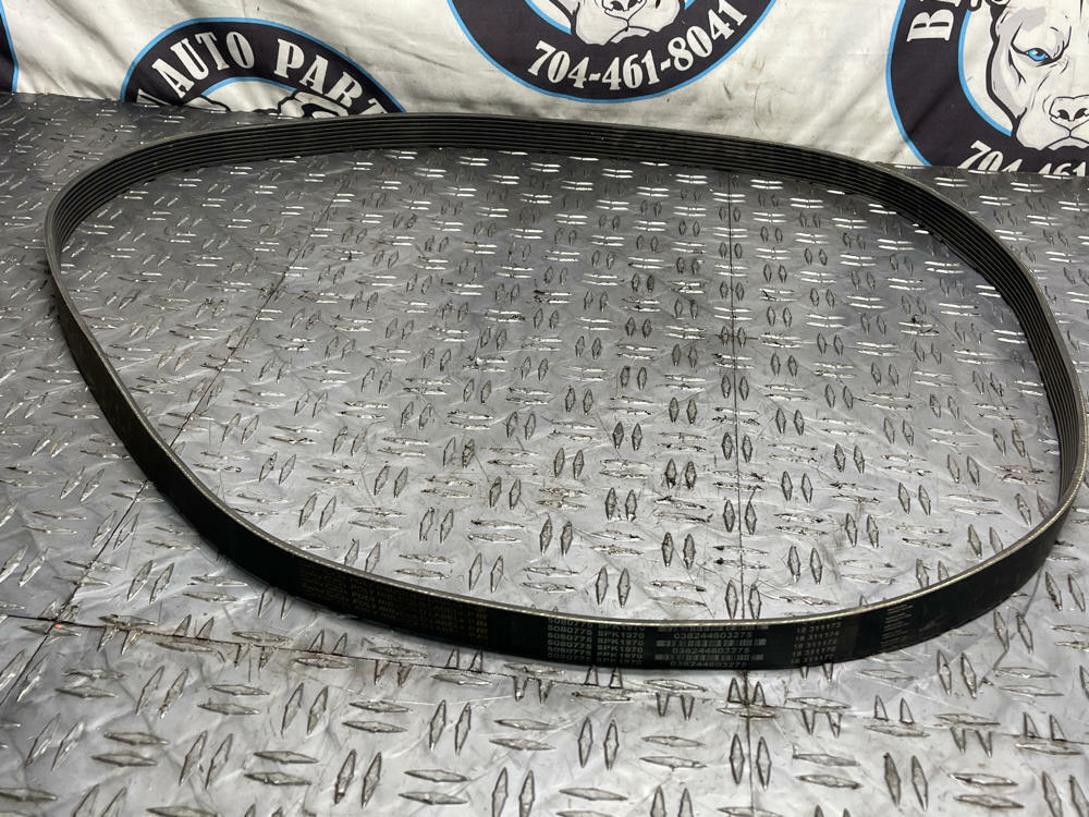 Dayco Poly Rib Heavy Duty Belt (5080775 8PK1970) 277