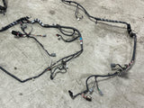 2003-04 Ford Mustang SVT Cobra Convertible Body Harness 283