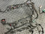 2003-04 Ford Mustang SVT Cobra EFI Harness 2R3V-12B637-CD