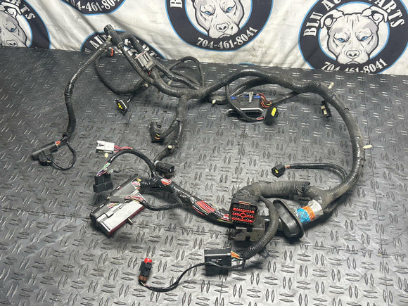 2003-04 Ford Mustang PCM ECU Harness- TR3650 Manual Trans 284