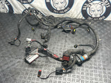 2003-04 Ford Mustang PCM ECU Harness- TR3650 Manual Trans 284