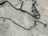 2003-04 Ford Mustang Mach One Coupe Body Harness- TR3650 Manual Trans 284