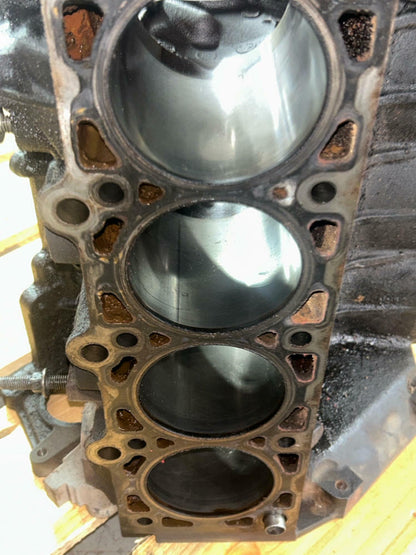 1999-04 Ford Mustang GT 4.6 2V Windsor Iron Block- Standard Bore, TMU