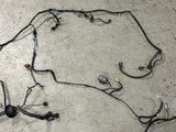 2003-04 Ford Mustang SVT Cobra OEM Body/Chassis Harness- for COUPE 255