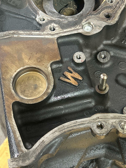 1999-04 Ford Mustang GT 4.6 2V Windsor Iron Block- Standard Bore, TMU