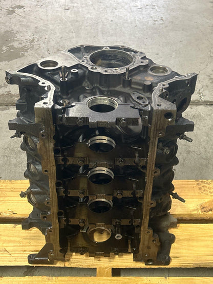 1999-04 Ford Mustang GT 4.6 2V Windsor Iron Block- Standard Bore, TMU