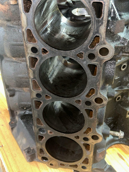 1999-04 Ford Mustang GT 4.6 2V Windsor Iron Block- Standard Bore, TMU