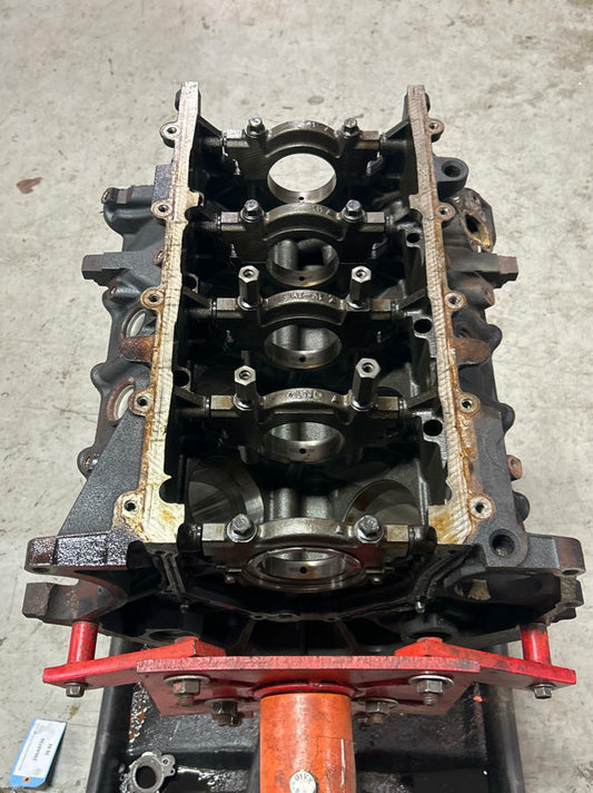 2003-04 Ford Mustang SVT Cobra 4.6 4V Romeo Iron Block- Std. Bore, 91k Miles 286